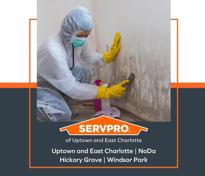 A SERVPRO technician wearing protective gear remediating the mold in a home